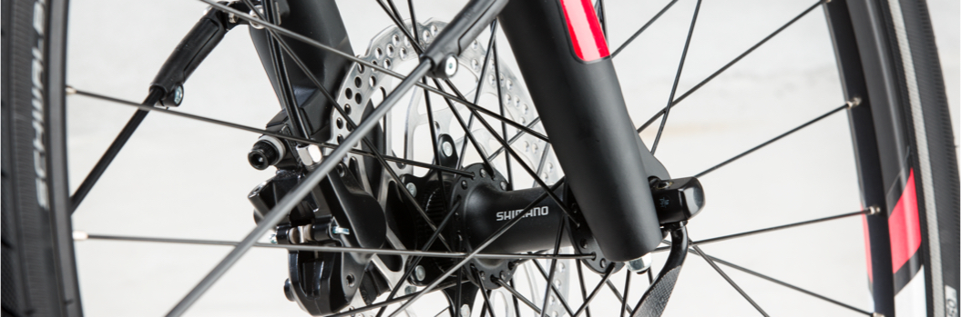 Elektrische fiets Ravenna Evo 5 NL | Pegasus Bikes