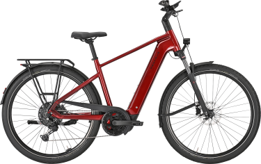 PEGASUS PREMIO EVO 10 Lite heren rood Elektrische fietsen herenfiets 45 cm