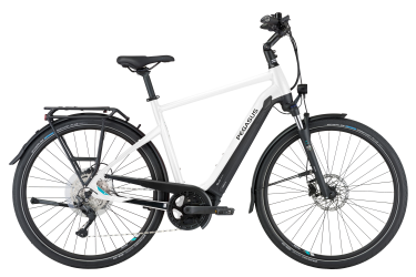 PEGASUS-Premio-EVO-10-Lite-metallic-off-white-black-matt-Elektrische-fietsen-Herenfiets-45-cm.png