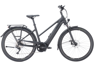 Uitgestorven Behoefte aan slecht humeur Elektrische fiets Premio EVO 10 Lite | Pegasus Bikes | Pegasus bikes