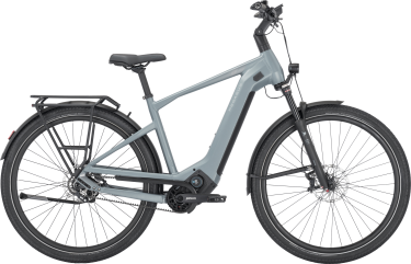 PEGASUS ESTREMO EVO 12 Lite heren lichtgrijs Elektrische fietsen herenfiets 50 cm
