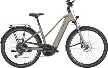 PEGASUS PREMIO EVO 10 Lite dames sportief bruin Elektrische fietsen damesfiets 45 cm