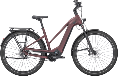 PEGASUS ESTREMO EVO 12 Lite dames sportief donkerrood Elektrische fietsen damesfiets 50 cm