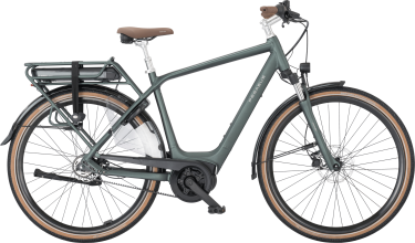 PEGASUS SIENA E5F Belt heren groen Elektrische fietsen herenfiets 50 cm