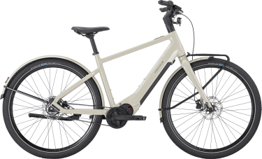 PEGASUS VERSARIO EVO heren grijs Elektrische fietsen herenfiets 50 cm