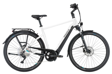 1536xauto_pegasus-premio-evo-10-lite-metallic-off-white-black-matt-elektrische-fietsen-herenfiets-45-cm.png
