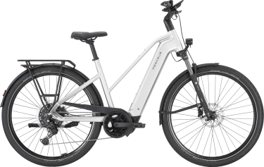 PEGASUS PREMIO EVO 10 Lite dames sportief zilver Elektrische fietsen damesfiets 50 cm