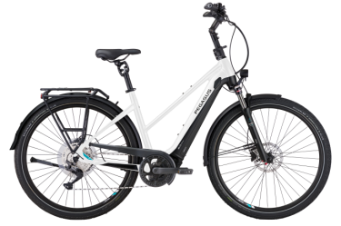 pegasus fiets header dealer.png