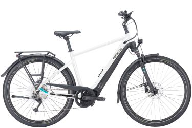 Tijdreeksen Implementeren dauw Elektrische fiets Premio EVO 10 Lite | Pegasus Bikes | Pegasus bikes