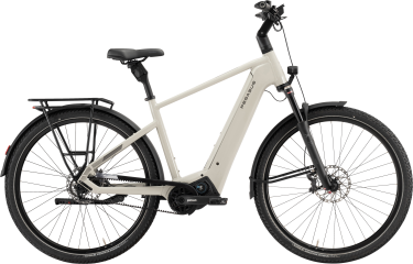 PEGASUS Estremo EVO 12 Lite heren grijs Elektrische fietsen Volwassen fiets 50 cm