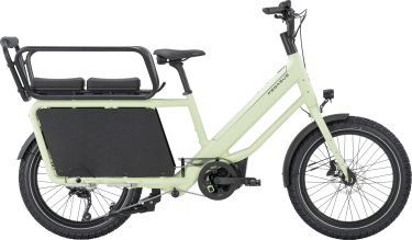 PEGASUS FAMULO Backpacker groen Elektrische fietsen Volwassen fiets 45 cm