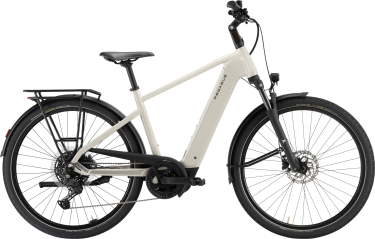 PEGASUS Solero EVO 10 heren grijs Elektrische fietsen Volwassen fiets 45 cm