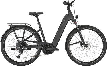 PEGASUS PREMIO EVO 10 Lite dames lage instap zwart Elektrische fietsen damesfiets 45 cm