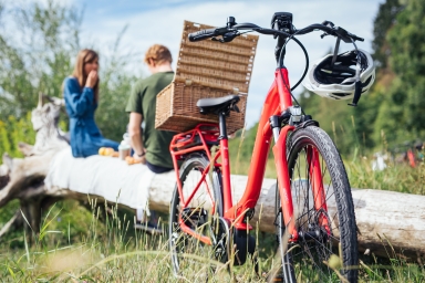 Dealers | Pegasus Bikes