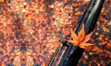 Fietsend de herfst door met deze handige tips!