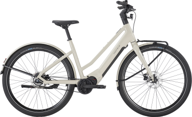 PEGASUS VERSARIO EVO dames sportief grijs Elektrische fietsen damesfiets 45 cm