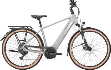 PEGASUS SOLERO EVO 9 heren grijs Elektrische fietsen herenfiets 50 cm