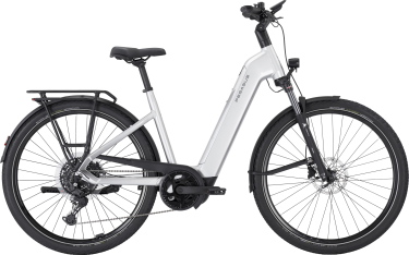 PEGASUS PREMIO EVO 10 Lite dames lage instap zilver Elektrische fietsen damesfiets 45 cm