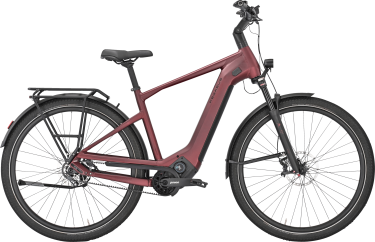 PEGASUS ESTREMO EVO 12 Lite heren donkerrood Elektrische fietsen herenfiets 50 cm