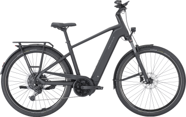 PEGASUS PREMIO EVO 10 Lite heren zwart Elektrische fietsen herenfiets 50 cm