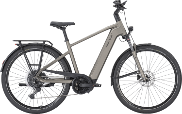 PEGASUS PREMIO EVO 10 Lite heren bruin Elektrische fietsen herenfiets 45 cm