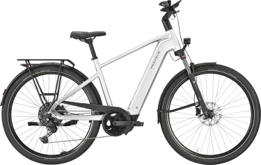 PEGASUS PREMIO EVO 10 Lite heren zilver Elektrische fietsen herenfiets 45 cm