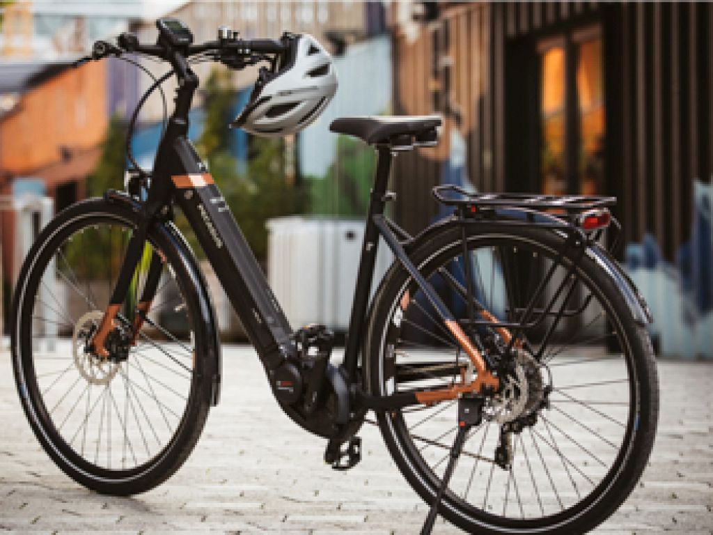 De marktleider in ebikes in Duitsland Pegasus